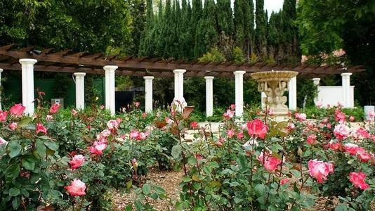 Chinese Rose Garden,Shanghai Zoo