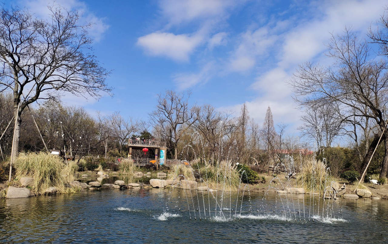 Shanghai Zoo, Shanghai Zoo