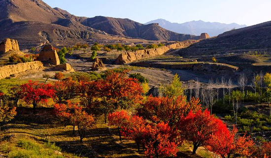 Autumn Scenery,Datong Great Wall