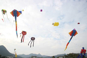 Kite Square，Lotus Hill Park