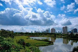 Rain Forest Valley，Lotus Hill Park