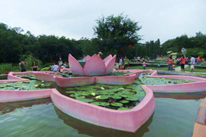 The Main Entrance，Lotus Hill Park