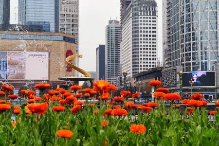 Tianfu Square，Tianfu Square 