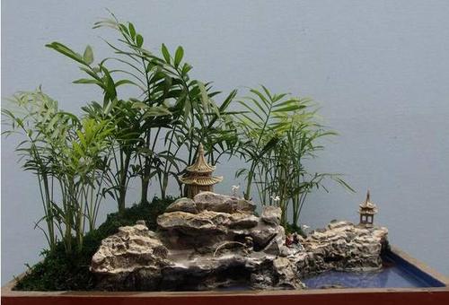 Bamboo Stone Bonsai，Wangjianglou Park