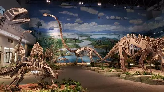 The Dinosaur World, Zigong Dinosaur Museum