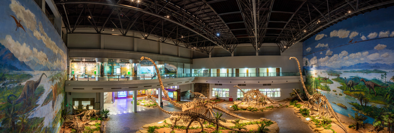 Zigong Dinosaur Museum, Zigong Dinosaur Museum