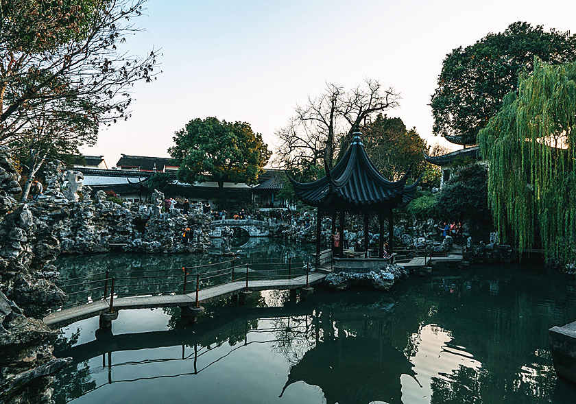 The Lion Grove Garden