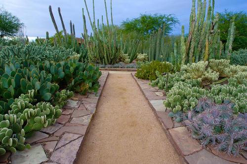 The South Garden，Turpan Eremophyte Botanical Garden