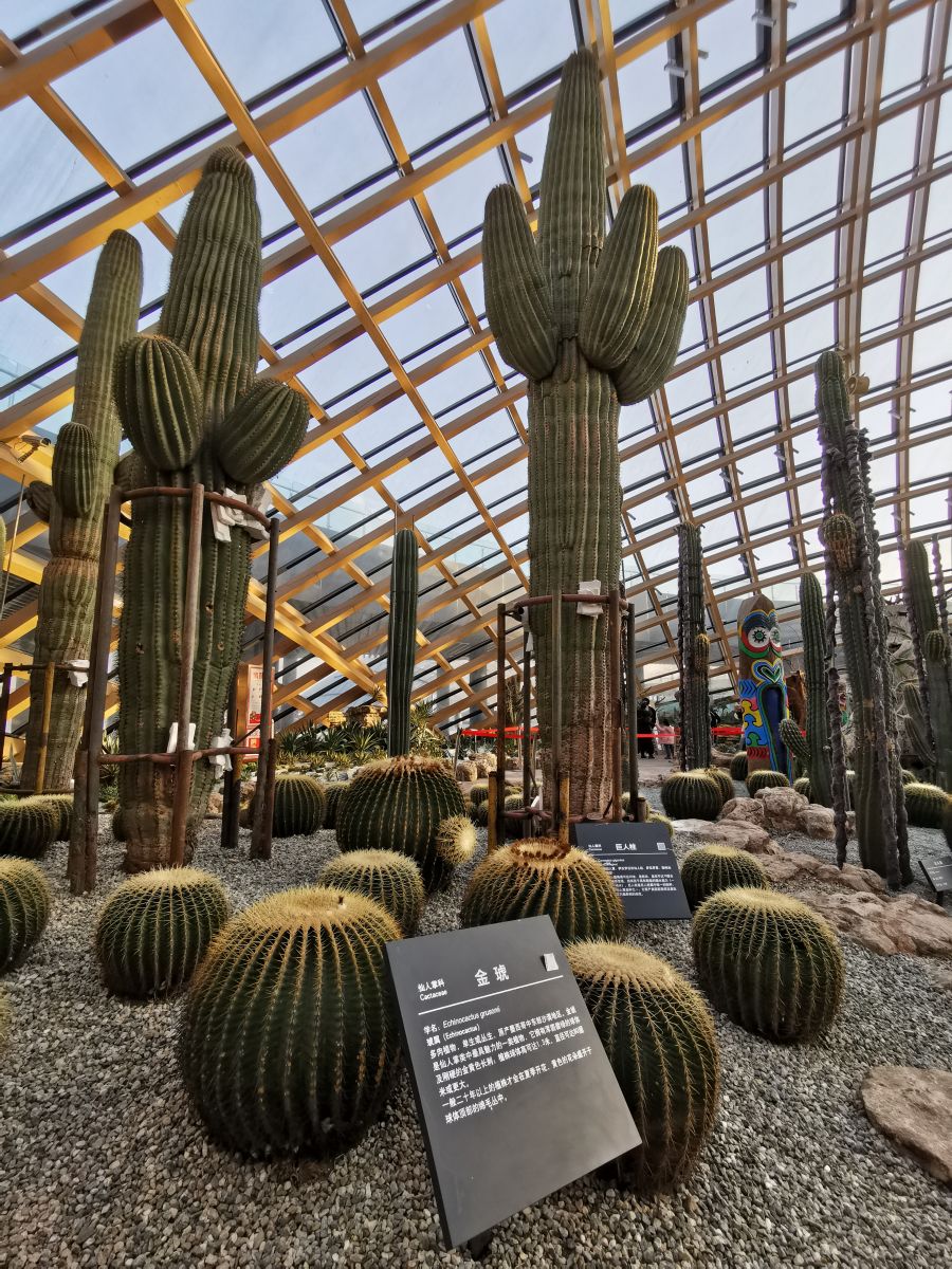 Turpan Eremophyte Botanical Garden