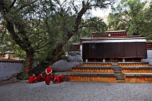 Ngagpa College,The Sera Monastery