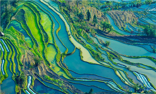 Bada Rice Terrace