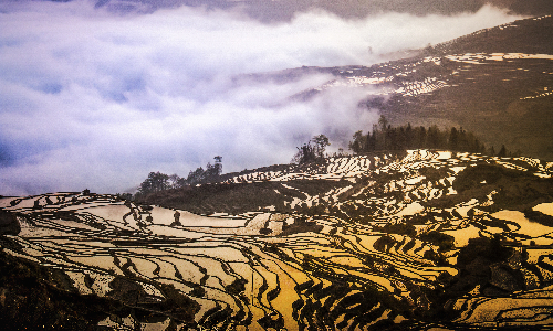 Duoyishu Rice Terraces