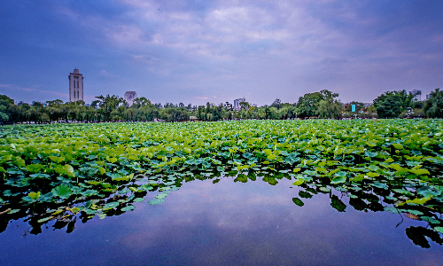 Green Lake Park