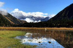 Ganhaizi Meadow，Jade Dragon Snow Mountain