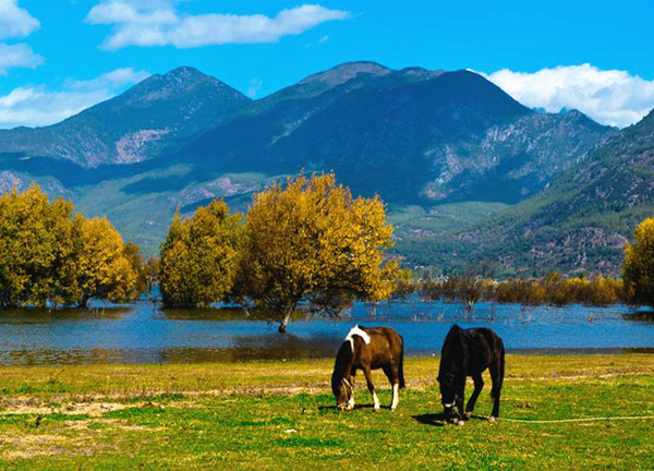 Lashi Lake Wetland Park, Lashi Lake