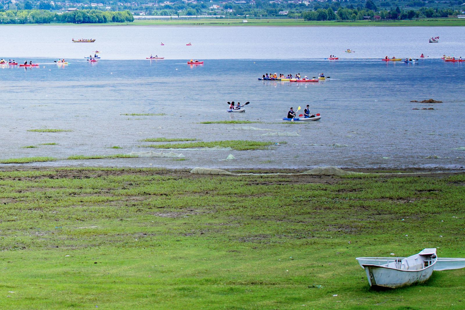 Caohai Lake in Spring，Lashi Lake