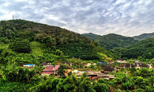 Menglun-Tropical-Botanical-Garden