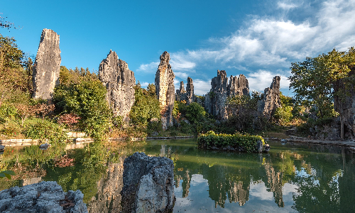 Stone Forest