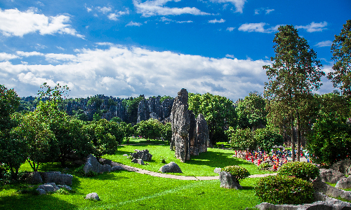 Stone Forest