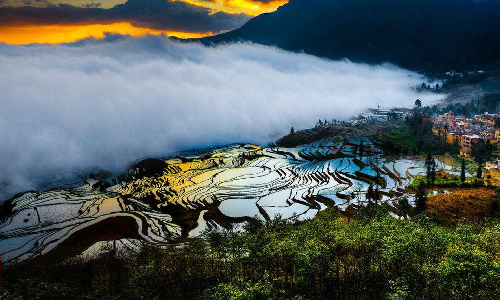 Longshuba Rice Terrace