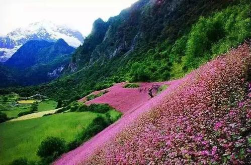 Huadianba, Cangshan Mountain