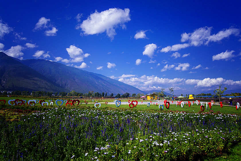 The Flower Sea,Cangshan Mountain 