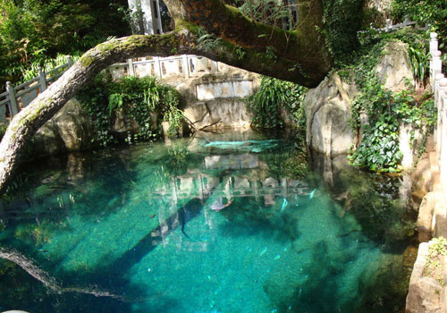 Butterfly Spring，Erhai Lake