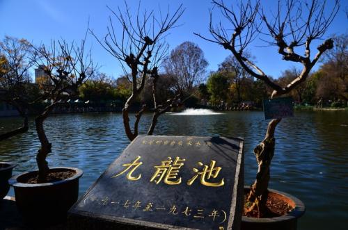 Nine Dragon Pool,  Green Lake Park