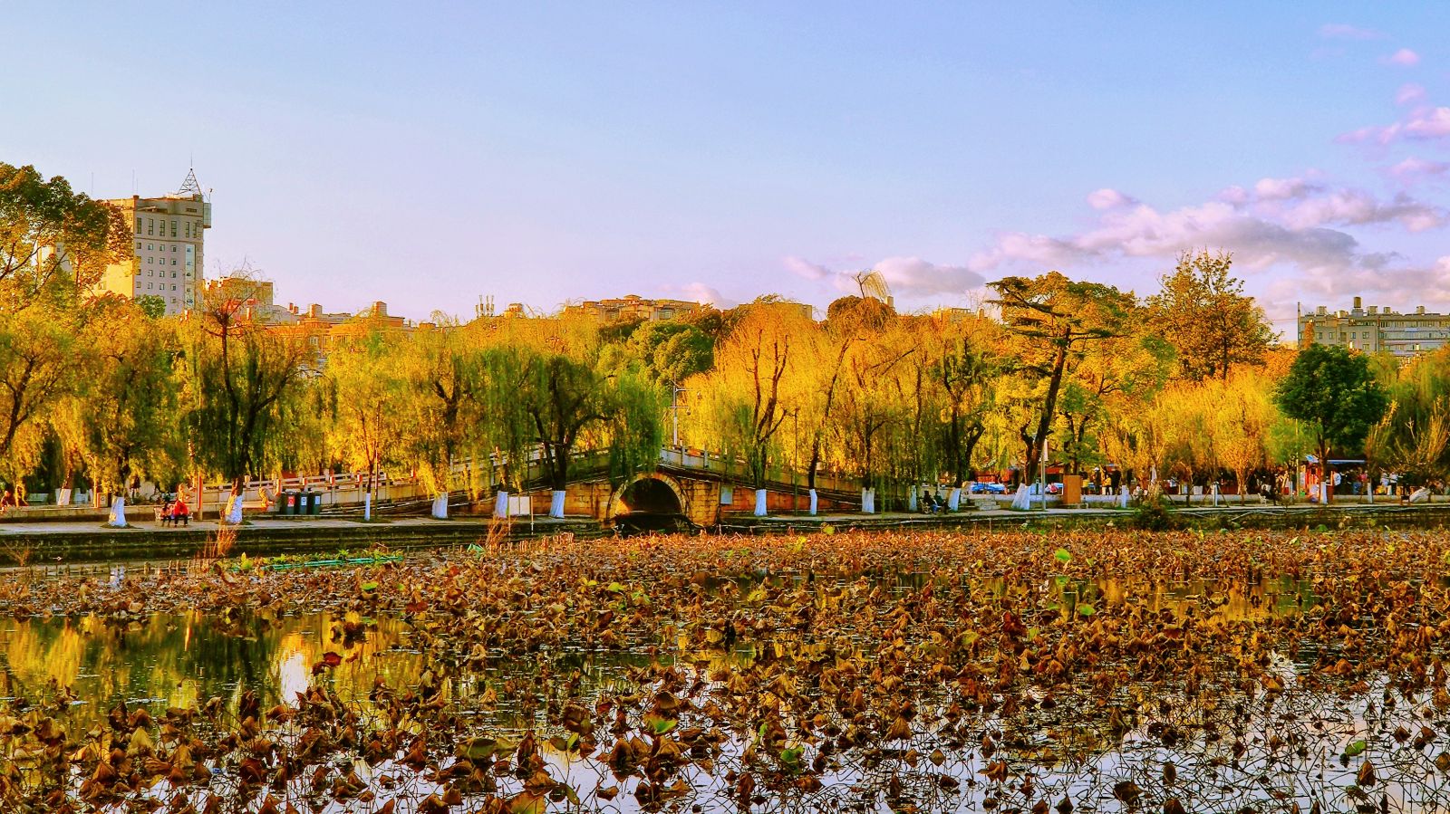 Ruandi Causeway, Green Lake Park