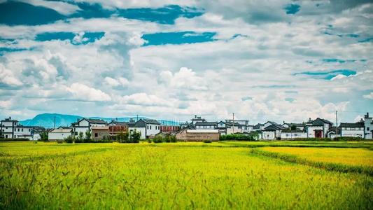 Paddy Fields，Xizhou Ancient Town