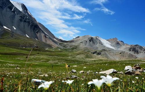 Alpine Meadows，Jiaozi Snow Mountain