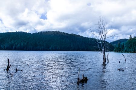 The Lake，Pudacuo National Park