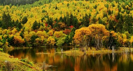 Autumn Scenery, Pudacuo National Park