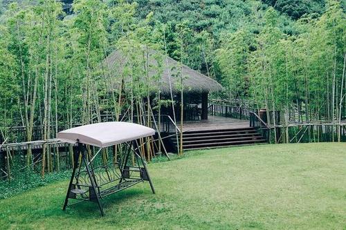 Fresh Bamboo Covers the Mountain, Mogan Mountain