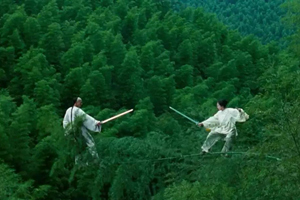 Crouching Tiger, Hidden Dragon