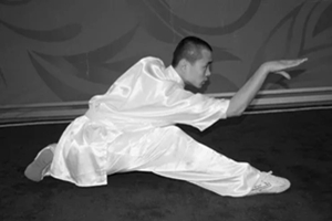 Kung fu del Drago