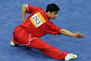 Forza del Chang Quan