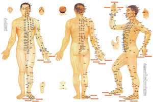 Mappa agopunti del corpo