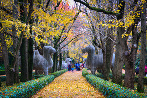 Strada del Mausoleo Mingxiao