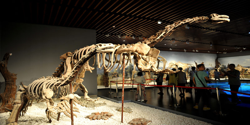 Reperti del Museo di Nanchino