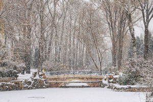 Zoo di Pechino in inverno