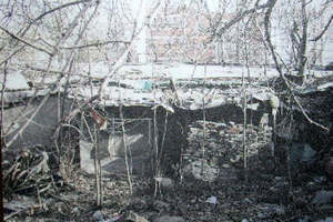 Vecchiao Giardino della Serenita.jpg