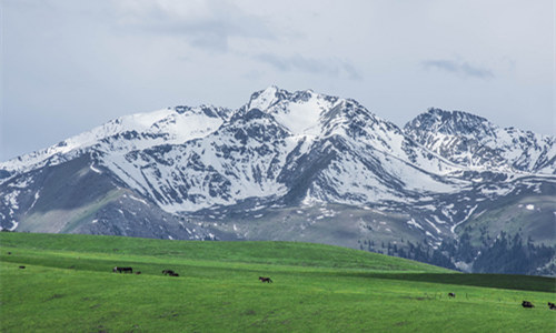 Montagna Tianshan