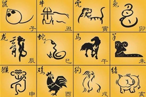 12 segni zodiacali