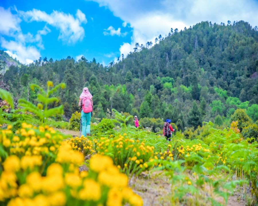 Hiking Tour to Southwest China