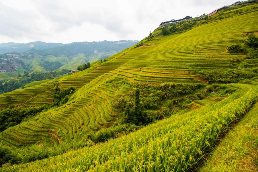 Viaggio “Tra Hong Kong e Guilin”