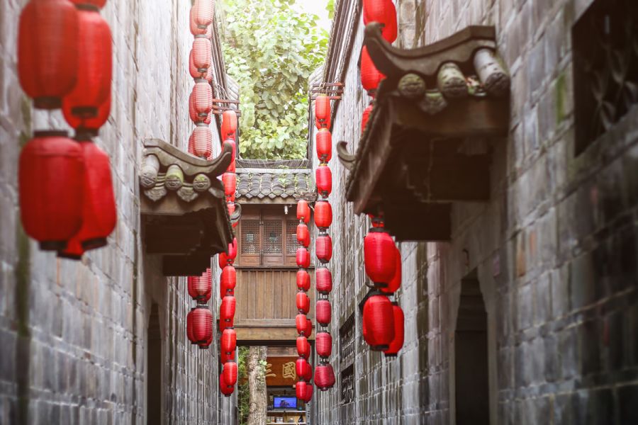 Viaggio per Vedere i Panda Giganti nella Meravigliosa Cina