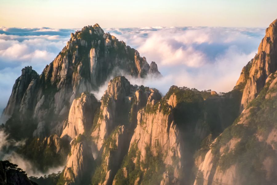 Viaggio per Vedere i Panda e le Montagne Gialle
