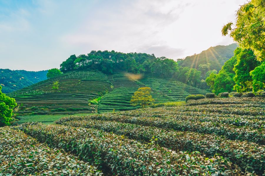 Viaggi Organizzati Cina dell'Esplorazione della Natura