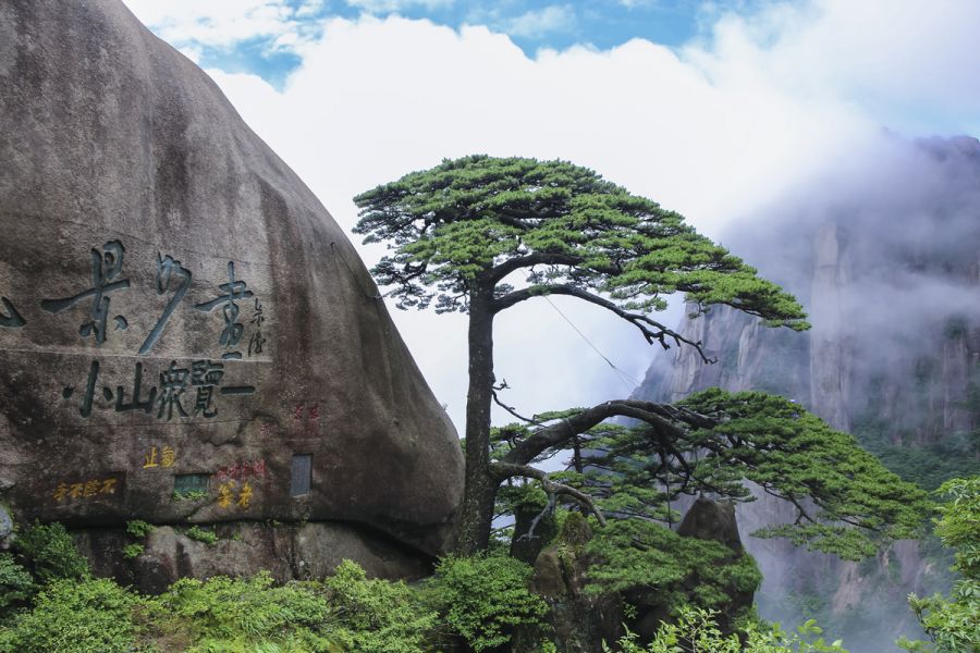 Tour Cina Annuale con Visita alle Montagne Gialle il Triangolo d'Oro